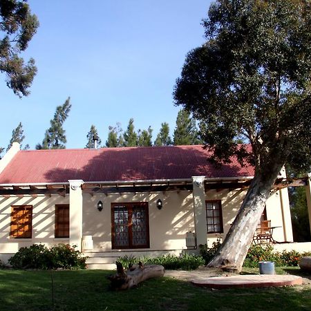 Calais Wine Estate Vendégház Paarl Kültér fotó