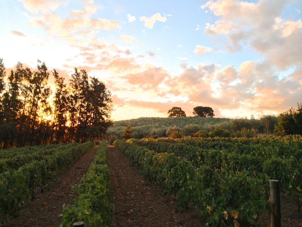 Calais Wine Estate Vendégház Paarl Kültér fotó